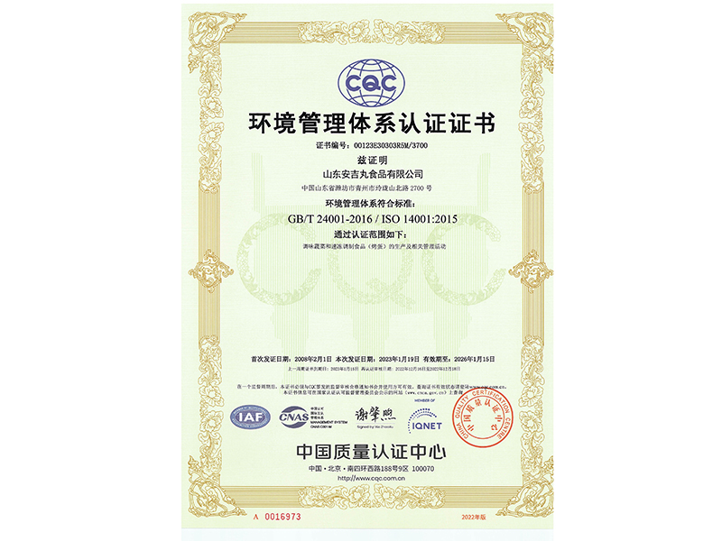 環(huán)境管理體系認證證書